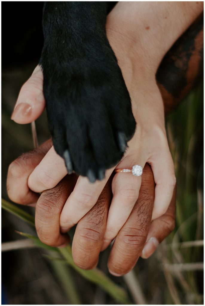 Ring shot with a furry paw at an engagement session