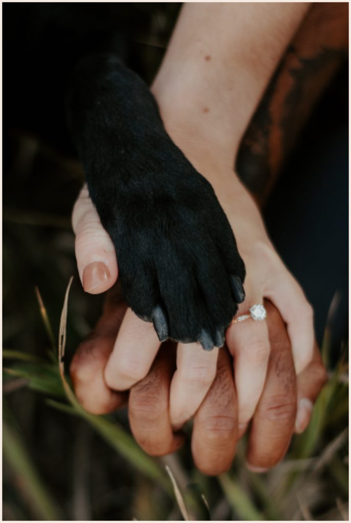 Couples hands with dog paw - Colorado engagement photos with dogs