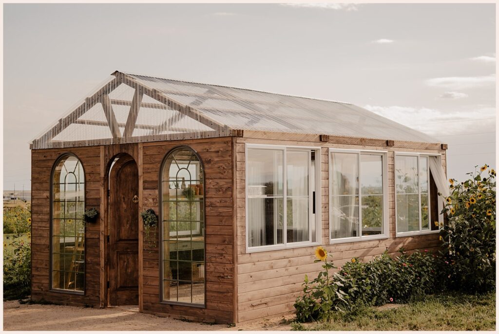 Greenhouse is a great spot for your newborn photos in Northern Colorado