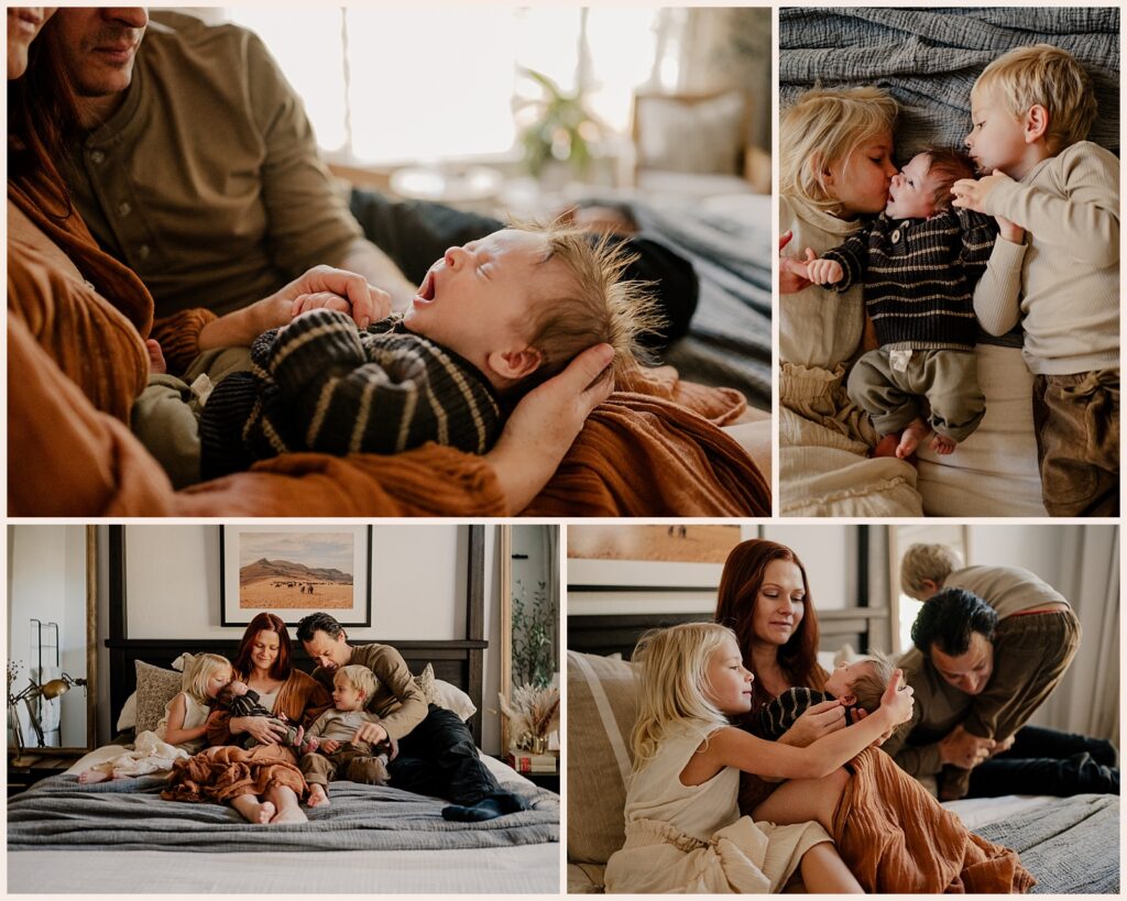 Family during newborn photos in Northern Colorado